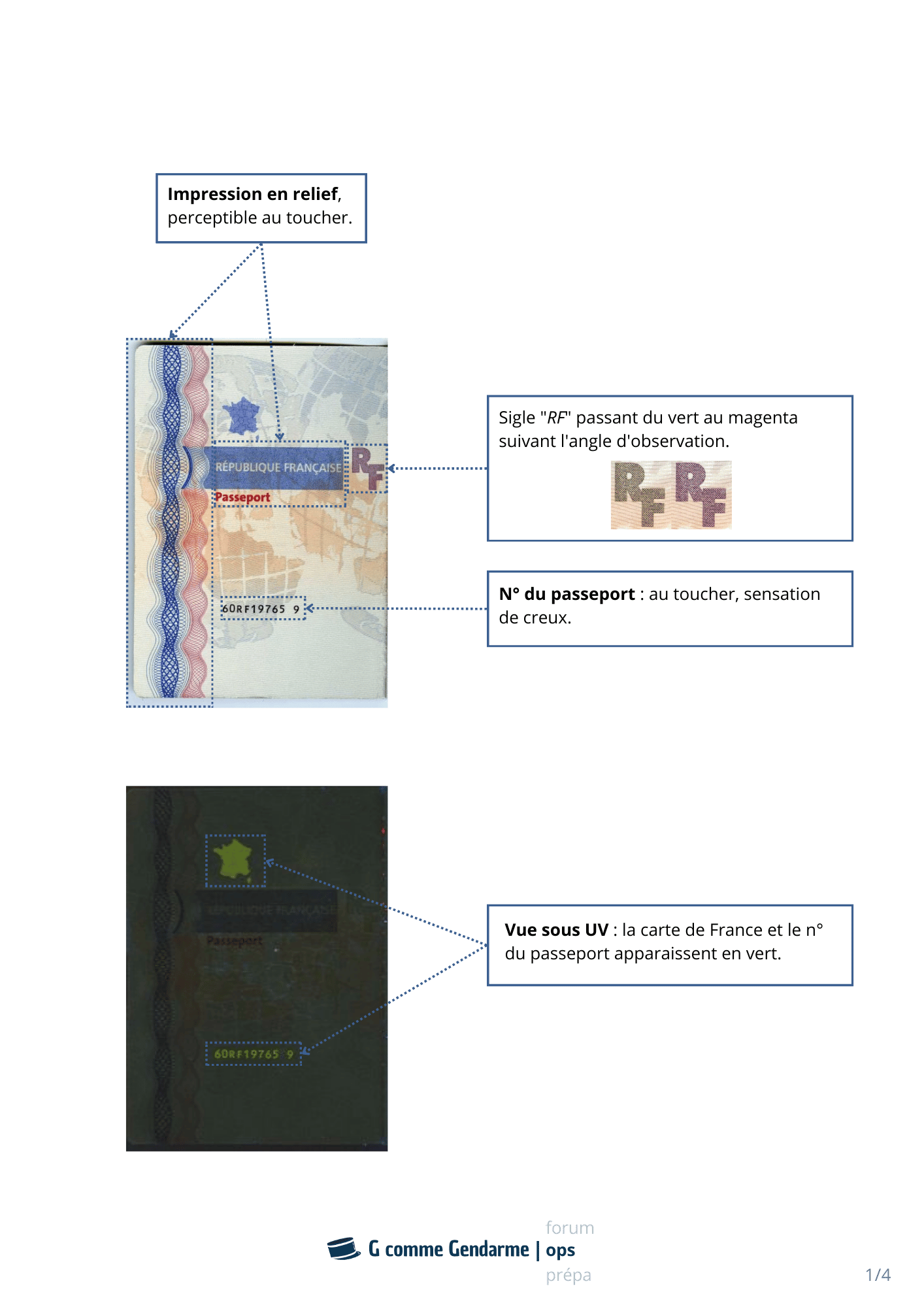 fiche-passeport-1.png