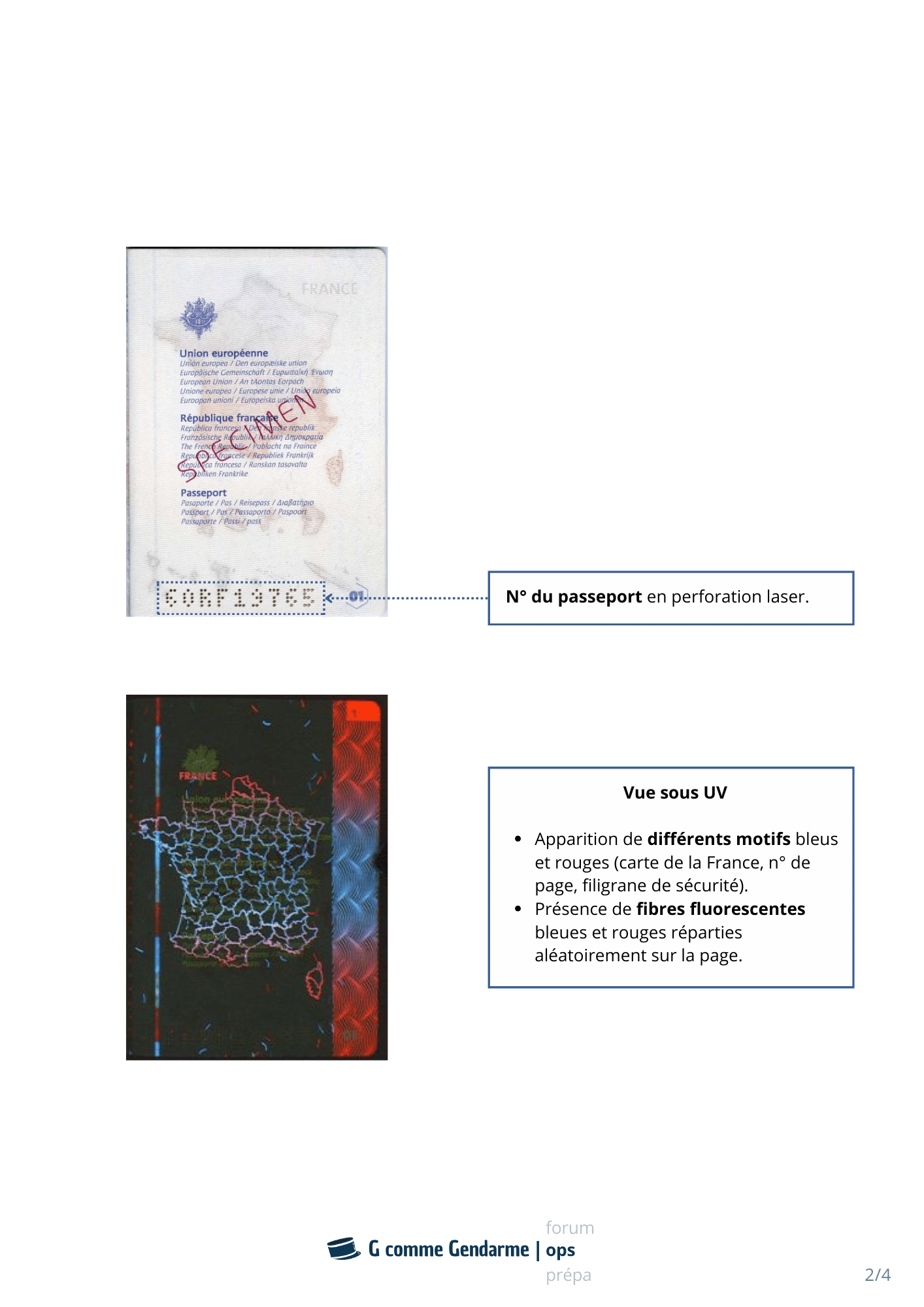 fiche-passeport-2.png